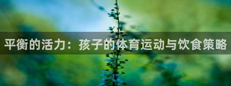 oety欧亿