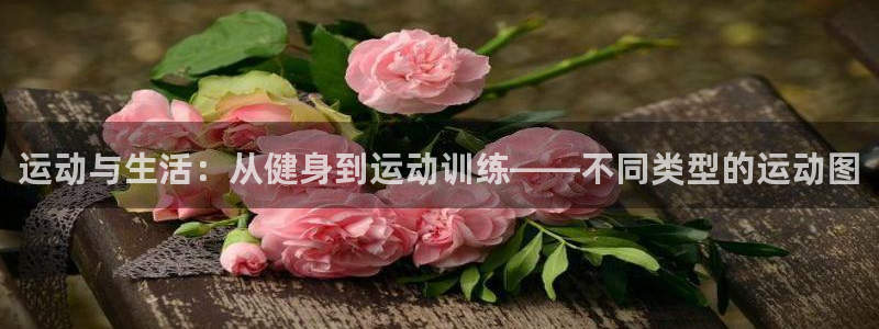 oety欧亿：运动与生活：从健身到运动训练——不同类型的运动图
