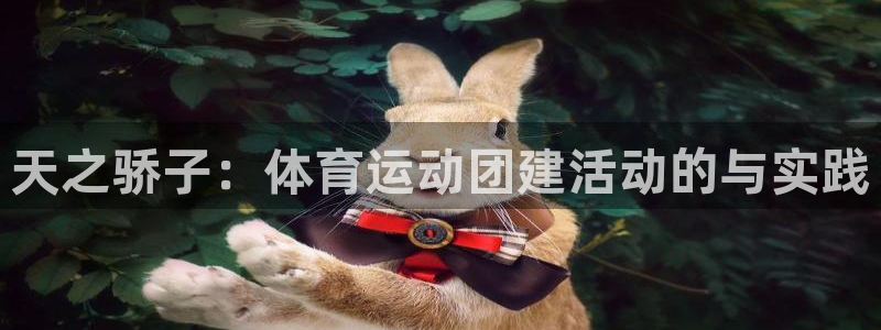 oety欧亿：天之骄子：体育运动团建活动的与实践