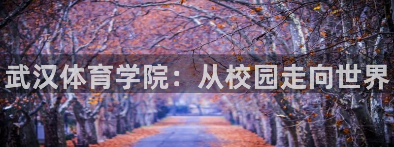 oety欧亿