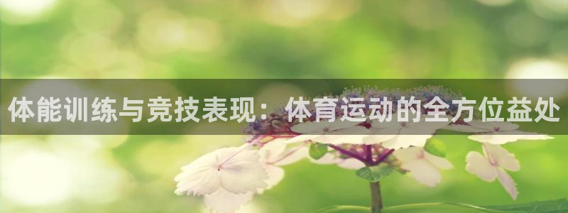 oety欧亿